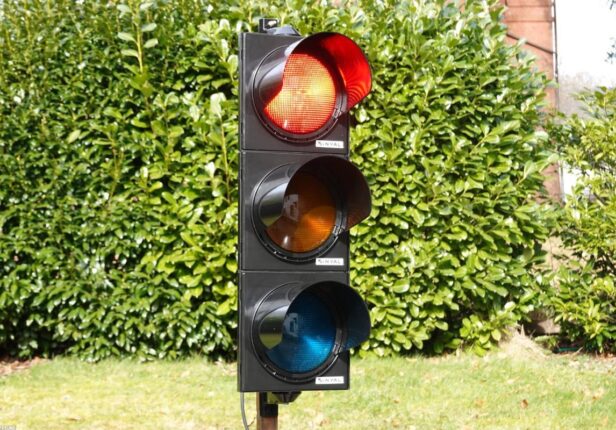 الفلاحة الذكية: كيف يساعد الذكاء الاصطناعي المزارعين؟