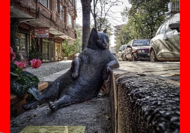 نساء رائدات في مجال الذكاء الاصطناعي: قصص نجاح ملهمة